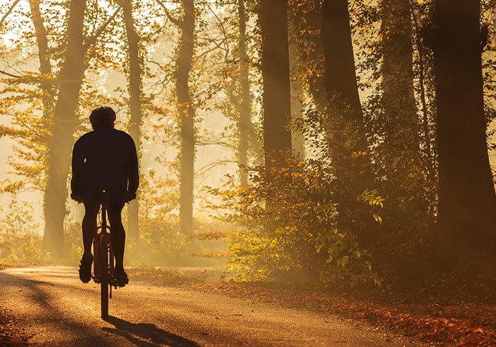 Cesta vs. mtb, je li to isti sport?