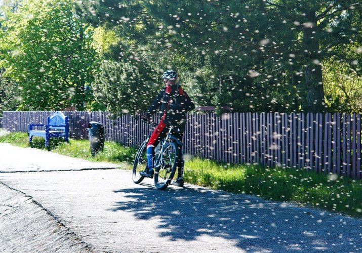 5 načina da se zaštitite od insekata na svom biciklu