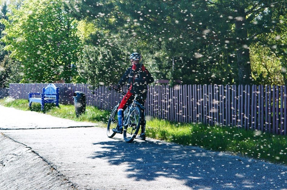 5 načina da se zaštitite od insekata na svom biciklu>
