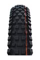 SCHWALBE plašt - ALBERT GRAVITY PRO 29x2.50 EVOLUTION 67EPI - crna