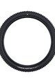 SCHWALBE plašt - ALBERT GRAVITY PRO 29x2.50 EVOLUTION 67EPI - crna