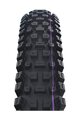 SCHWALBE plašt - ALBERT GRAVITY PRO 29x2.50 EVOLUTION 67EPI - crna