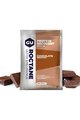 GU prehrana - ROCTANE RECOVERY DRINK MIX 62 G CHOCOLATE SMOOTHIE