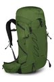 OSPREY ruksak - TALON 33 L/XL - zelena