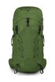 OSPREY ruksak - TALON 33 L/XL - zelena