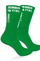 AGU čarape klasične - JUMBO-VISMA 2022 - zelena