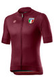 CASTELLI dres kratkih rukava - ITALIA 20 - bodro