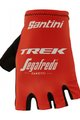 SANTINI TREK SEGAFREDO 2022 - crna/crvena