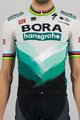 SPORTFUL dres kratkih rukava - BORA HANSGROHE 2021 - siva/zelena