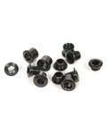 SRAM komplet vijaka - CRANK CHAINRING BOLT KIT 4-ARM - crna