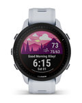 GARMIN pametni sat - FORERUNNER 955 SOLAR - siva