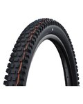 SCHWALBE plašt - ALBERT GRAVITY PRO 29x2.50 EVOLUTION 67EPI - crna