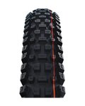 SCHWALBE plašt - ALBERT GRAVITY PRO 29x2.50 EVOLUTION 67EPI - crna