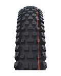 SCHWALBE plašt - ALBERT TRAIL PRO 27.5x2.50 EVOLUTION 67EPI - crna