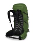 OSPREY ruksak - TALON 33 L/XL - zelena