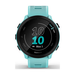 GARMIN pametni sat - FORERUNNER 55 - svjetloplava