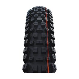 SCHWALBE plašt - ALBERT GRAVITY PRO 29x2.50 EVOLUTION 67EPI - crna
