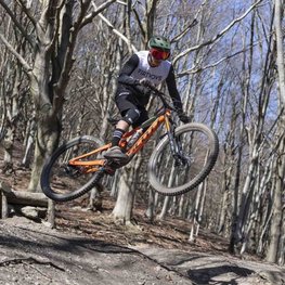 LIMAR kaciga - DELTA MTB - zelena